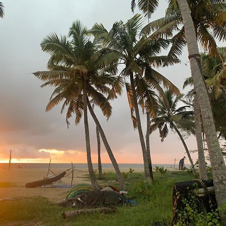 Shoreline Marari Beach Villa At Golden Beach Mararikulam Alappuzha Экстерьер фото