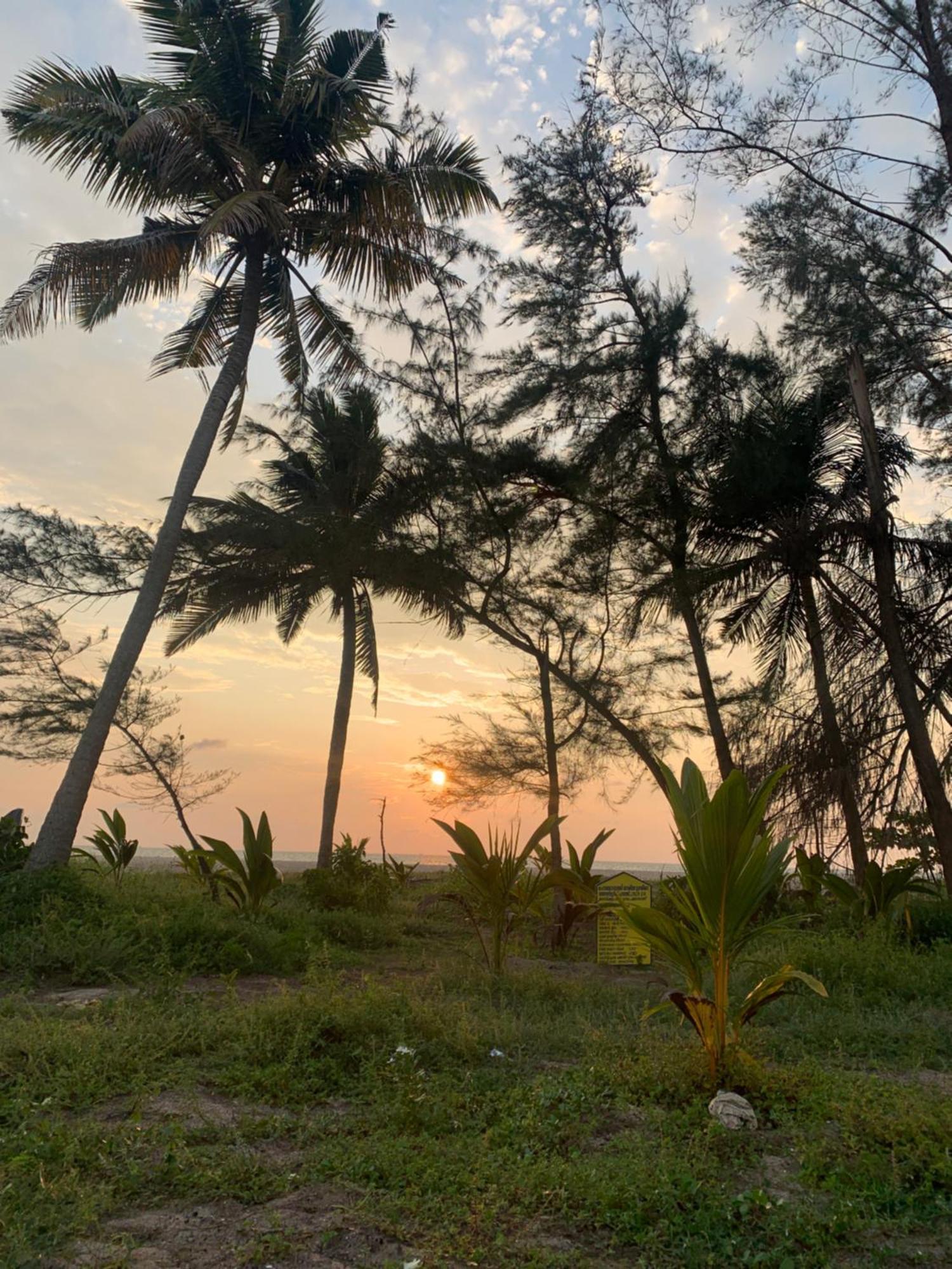 Shoreline Marari Beach Villa At Golden Beach Mararikulam Alappuzha Экстерьер фото